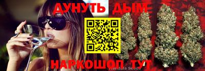 MDMA Новозыбков