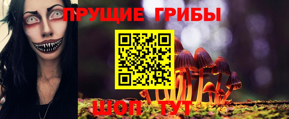 Псилоцибиновые грибы Psilocybine cubensis  Псилоцибиновые грибы Psilocybe  Ульяновск  Вход с VPN 